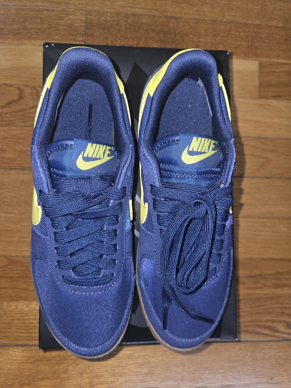 Nike Women's Field General Shoes